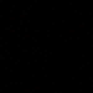 Meet your Posher, Fran